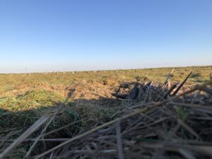 Powerline/Riego (DRY – Goose field) - ALL Day Hunt