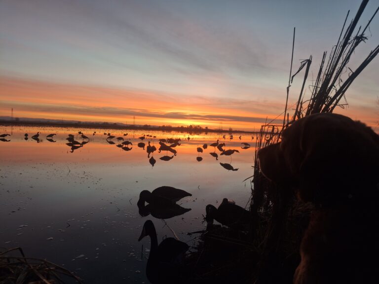 Greg Damitz – 2026-01-10