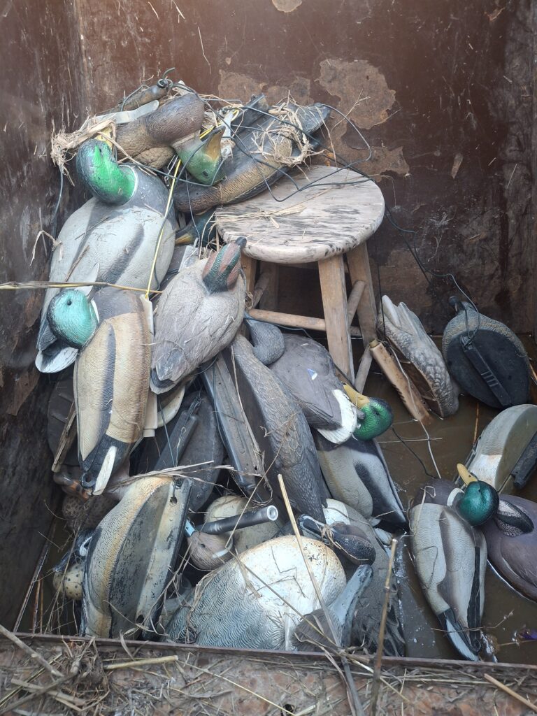 Greg Damitz – 2026-01-10