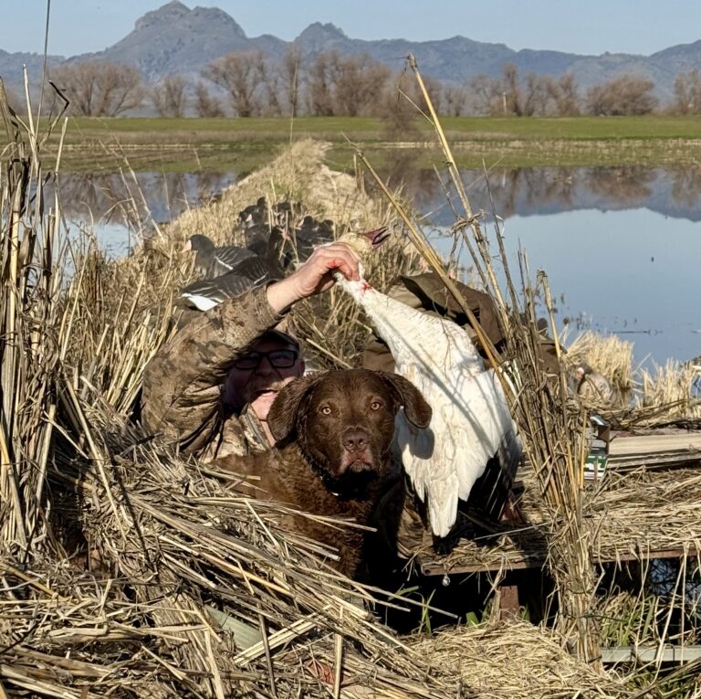 Greg Damitz – 2026-01-10