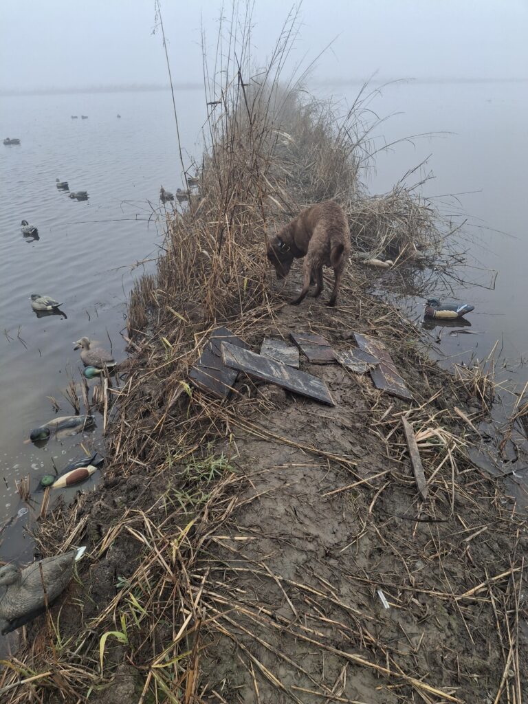 Greg Damitz – 2026-01-19