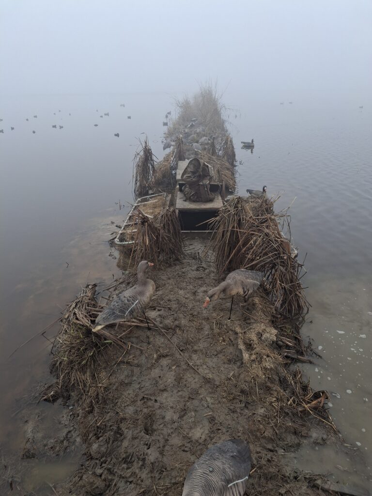 Greg Damitz – 2026-01-19