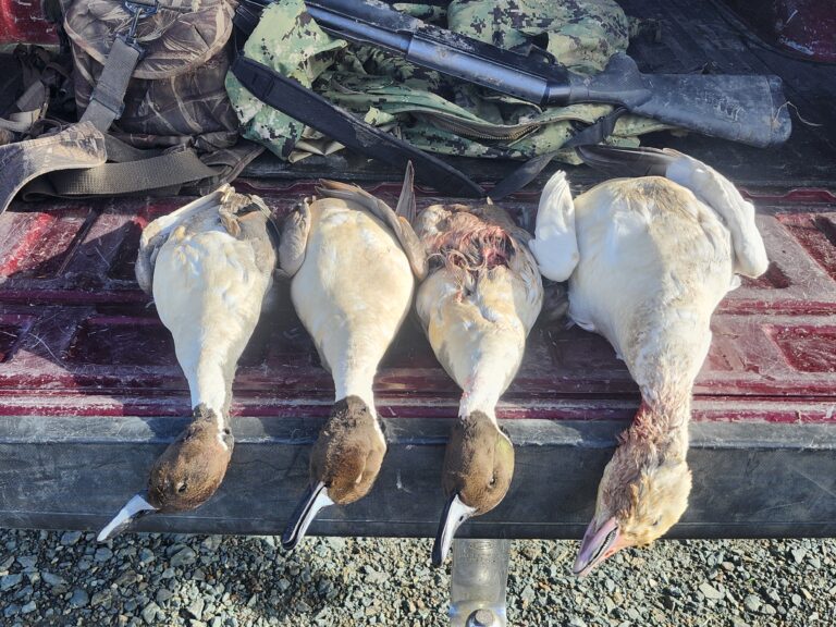 Jim Biasotti – 2025-12-25