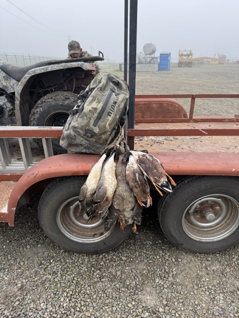 Robert Smith – 2026-01-23