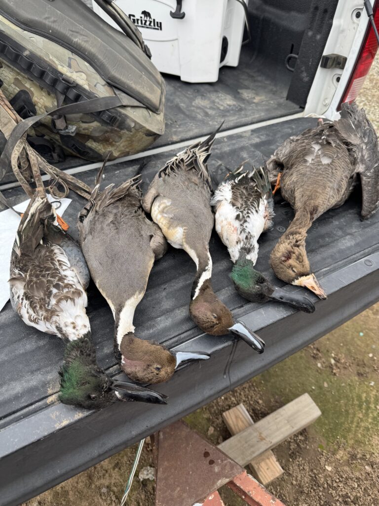 Robert Smith – 2026-01-23