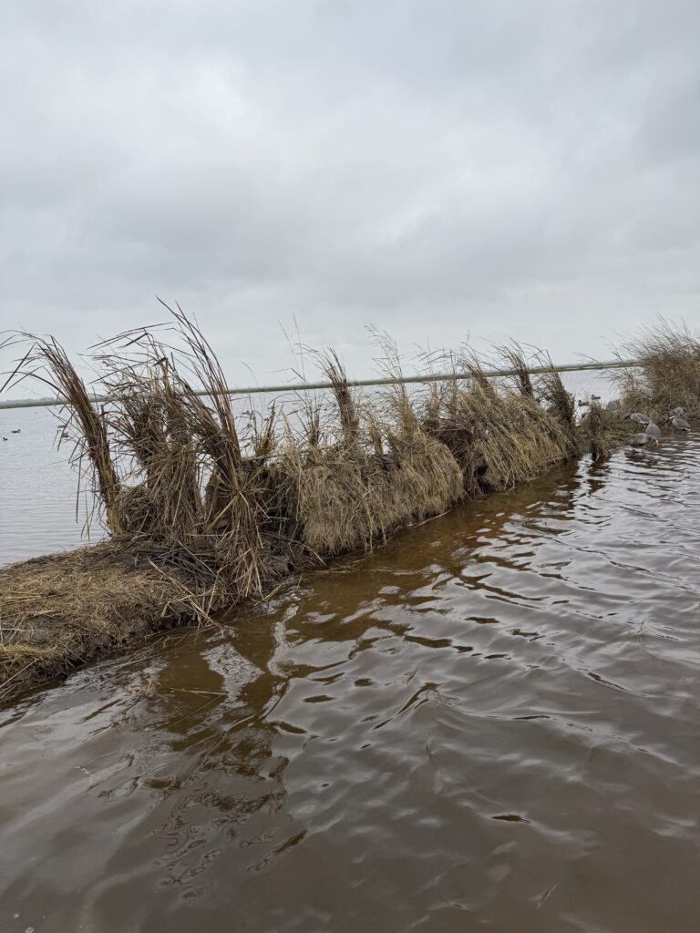 Scott Elliot – 2025-12-18