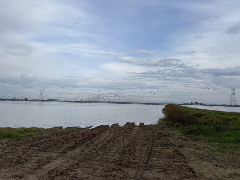 Scott Elliot – 2025-12-23